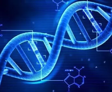 dna