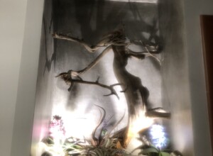 biormoniki lab 5